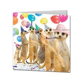 Conga Meerkats Birthday Card