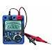 Reed R5002 High Voltage Insulation Resistance Tester with 6000 Count Digital Display, 6000 Ohms Resistance, 600V AC/DC Voltage