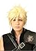 L-email 33cm Short Final Fantasy VII Cloud Cosplay Wig Rw61