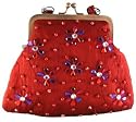 Bewitched Accessories Small Frame Bag with beaded embellishment