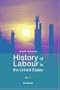 History of Labour in the United States, Vol. 2