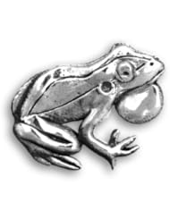 Sterling Silver Frog Pin by The Magic Zoo
