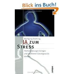 JA zum Stress: H�chstleistungen bringen und im inneren Gleichgewicht bleiben