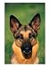 German Shepherd Photographic Poster Print by Francie Manning, 12x16