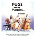 Pugs and the Puppies...In Concert