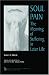 Soul Pain: The Meaning of Suffering in Later Life (Society and Aging) (Society and Aging Series)