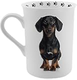 Dimension 9 Dachshund Coffee Mug, White