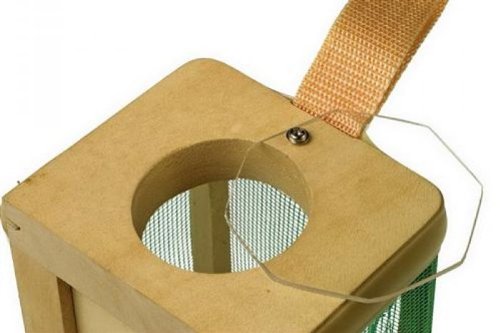 Imagen 3 de Casa de insectos