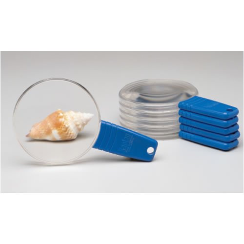 Clear Magnifiers (Set of 6)