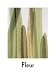 Fleur Olby: Plant Portraits