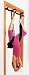 Inversion Swing & Door Gym Combo