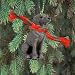 Weimaraner Ornament