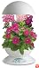 AeroGrow AeroGarden 3 with 3-Pod English Garden Flowers Seed Kit, White