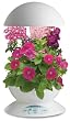 AeroGrow AeroGarden 3 with 3-Pod English Garden Flowers Seed Kit, White