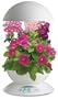 AeroGarden 3 White w/Cascading Petunias Seed Kit by AeroGrow