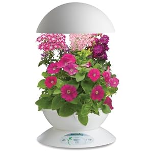 AeroGarden 900211-1200 3 with 3-Pod English Garden Flowers Seed Kit, White