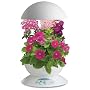 AeroGrow AeroGarden 3 with 3-Pod English Garden Flowers Seed Kit, White