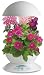 AeroGrow AeroGarden 3 with 3-Pod English Garden Flowers Seed Kit, White