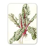 Rhubarb Chard, 1992 (w/c on paper) by.. - Mouse Mat Art247 Highest Quality Natural Rubber Mouse Mats - Mouse Mat
