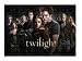 Twilight - Full Cast Puzzle