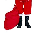 RG Costumes 82110 Santa Gift Bag