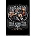 Oakland Raiders Running Back 22X34 Poster Nfl New 4748