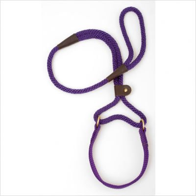 Mendota Big Dog Walker 1/2 Inch X 4 Foot - Purple