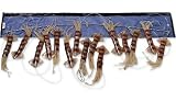Williamson Live Squid Spreader Bar (Natural)