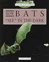 Nature's Mysteries: How Bats See in the Dark
