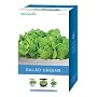 AeroGarden 6-Pod Seed Kit Salad Greens