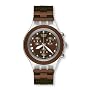 Swatch Men's Watches SVCK4042AG - WW