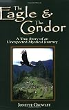 The Eagle and the Condor, A True Story of an Unexpected Mystical Journey
