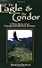The Eagle and the Condor, A True Story of an Unexpected Mystical Journey