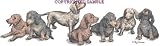 Dachshund - Puppies in a Row by Cindy Farmer