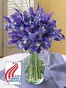 Keep America Beautiful Blue Iris