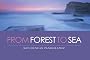 From Forest to Sea: Sensational Panomanric Views