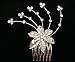 Flowers And Silvery Leaves comb for Weddings, Proms, quinceanera or pageants