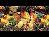 (A1710) Marina Freshwater/Saltwater, 24 Aquarium Background, Black/Royal Blue