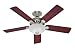 Hunter Fan