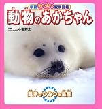 ưʪ�Τ�������� (�ظ��勞�勞�ѻ��޴�)