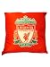 Zap Liverpool Heat Transfer Cushion