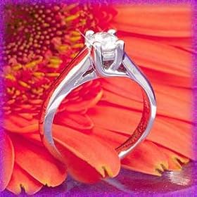 14K White Gold .33 CT Fancy Set Diamond Solitaire Ring by alle Fine Jewelry