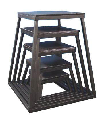 Plyometric Platform Box Set- 6