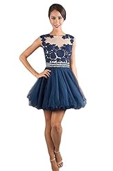 Lace Applique High-Neck Sleeveless Polyester/Tulle Short Evening Dress/Prom Dress/Mini Dress 