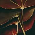 Red Leaf 1 Wall Decor