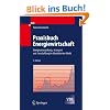 Praxisbuch Energiewirtschaft: Energieumwandlung, -transport und -beschaffung im liberalisierten Markt (VDI-Buch)