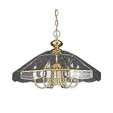 Sea Gull Lighting 3365-02 Six-Light Brass Pendant, Additional Downlight in Polished Brass Finish with Clear Beveled Glass