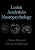 Lesion Analysis in Neuropsychology