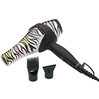 Rainbow Zebra IONIC Salon Dryer