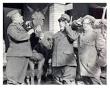 The Three Stooges Unterhaltung Poster Printkarte, 26x21